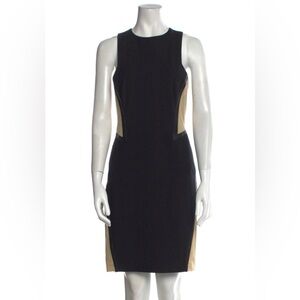 Rag & Bone Two-Tone Black and Tan Mini Dress